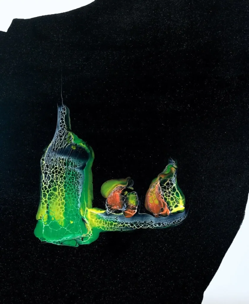 Natura morta 2024, 60x50