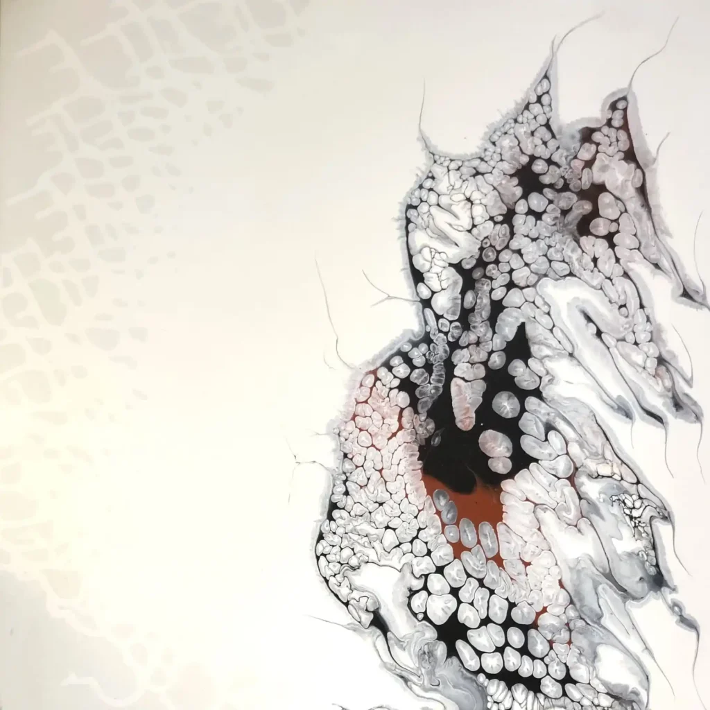 Grafi e geodi 2024, 50x50