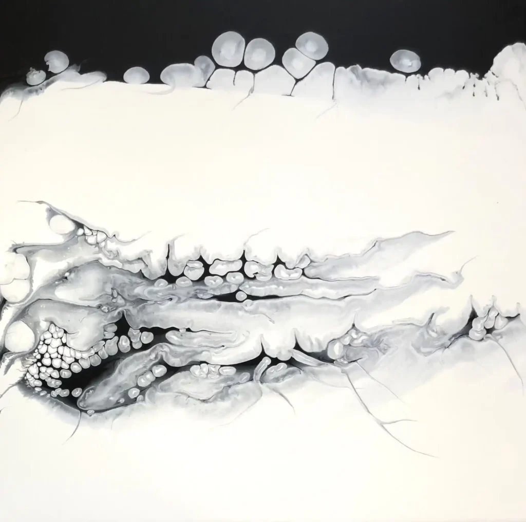 Tensioni 2024, 50x50