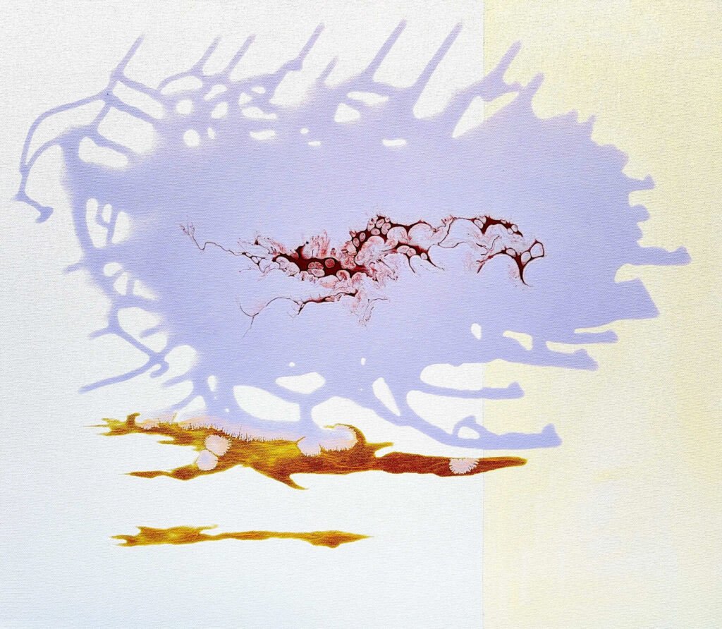  Nuvola fluttuante, 2025, 50x60 cm
