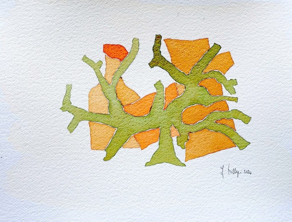 Sovrapposizione di immagini, 2024, 38x50 cm