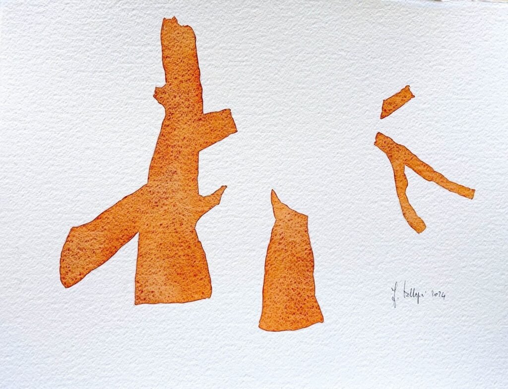 Ibridazione di immagini sovrapposte, 2024, 38x50 cm
